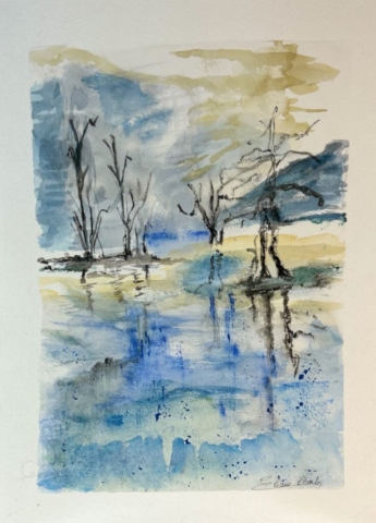 Paysage d'hiver figé par le froid