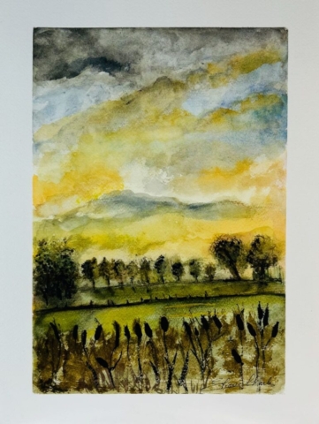 couchée de soleil campagne